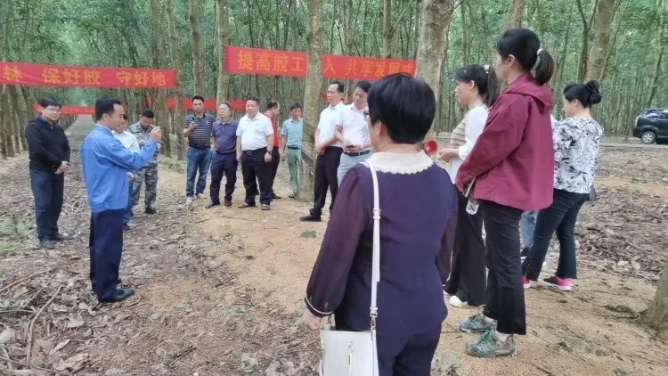 全国割胶冠军张健给各单位学员做标准化胶园建设及割胶技术的经验介绍。.jpg